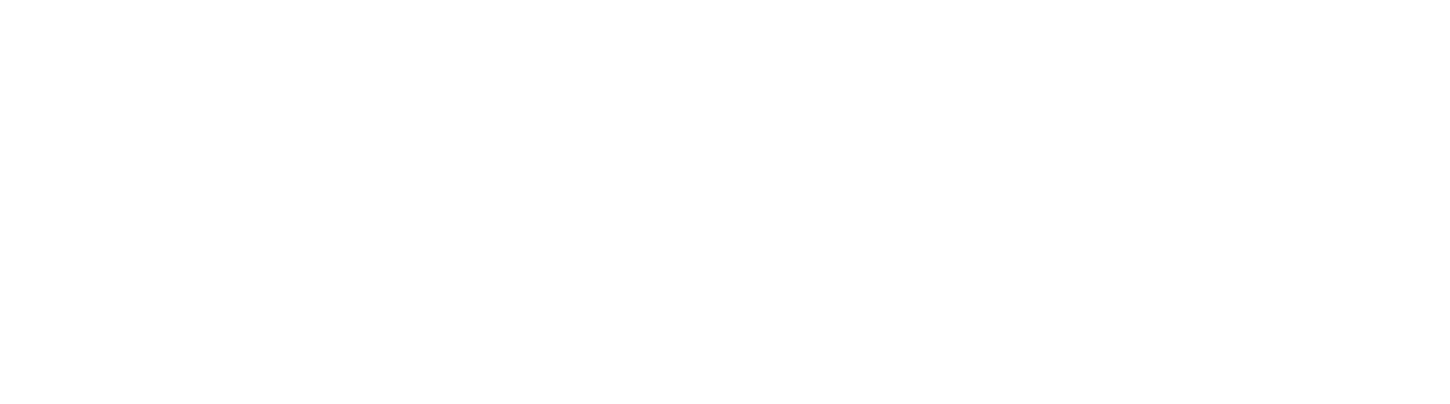 MedyaFest